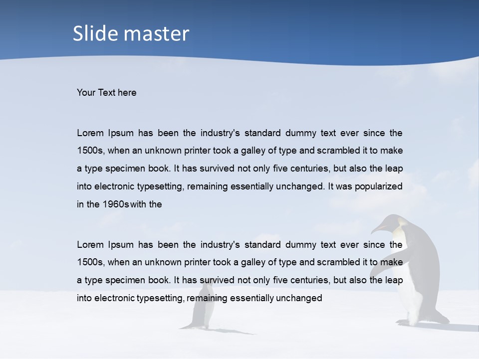 Adelie Penguin PowerPoint Template