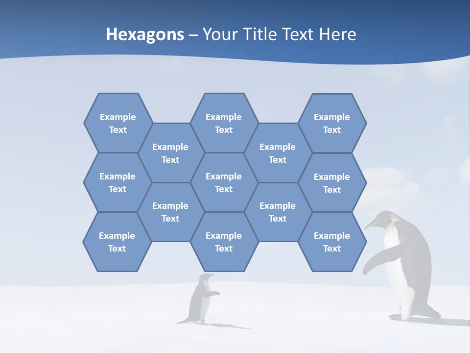 Adelie Penguin PowerPoint Template