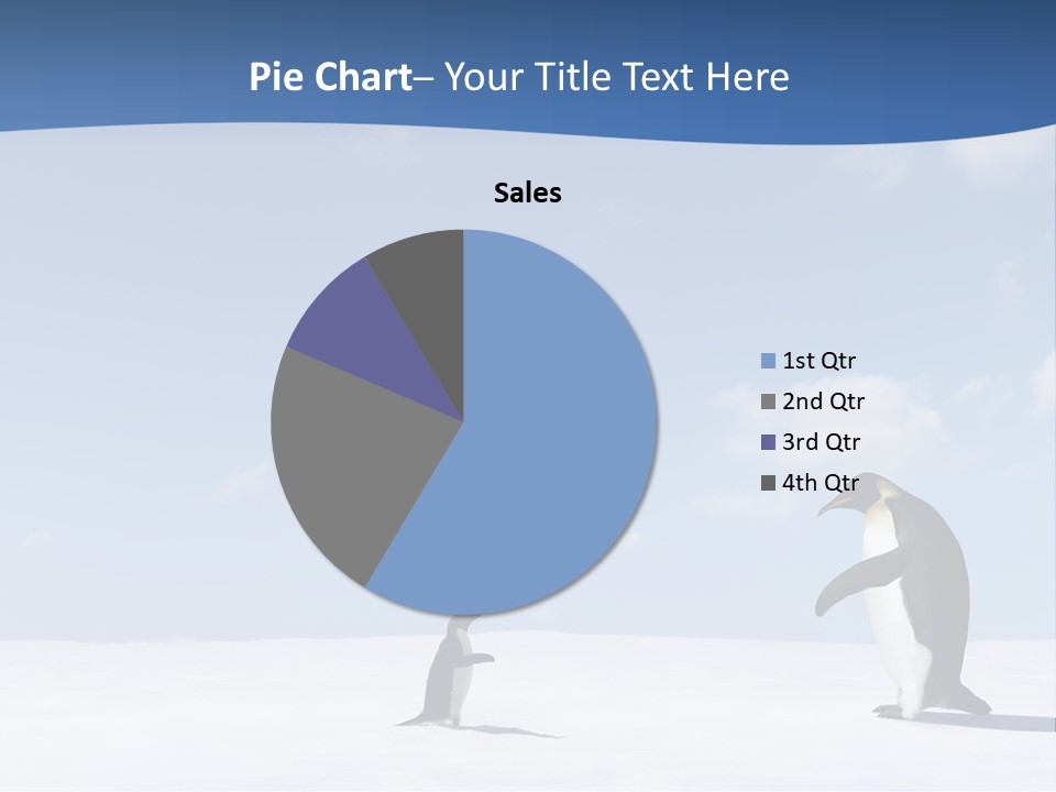 Adelie Penguin PowerPoint Template