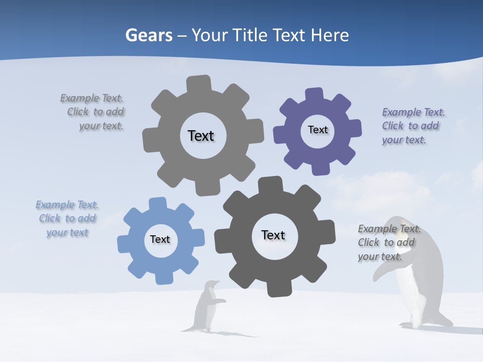 Adelie Penguin PowerPoint Template