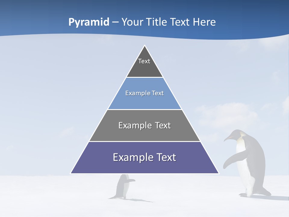 Adelie Penguin PowerPoint Template