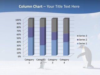 Adelie Penguin PowerPoint Template