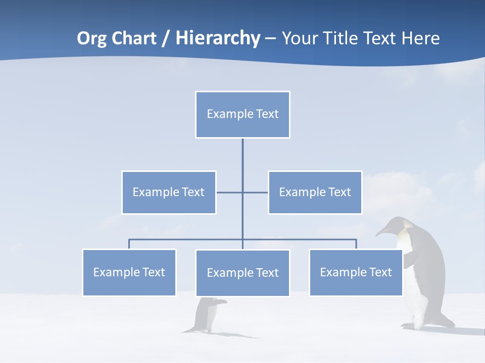 Adelie Penguin PowerPoint Template