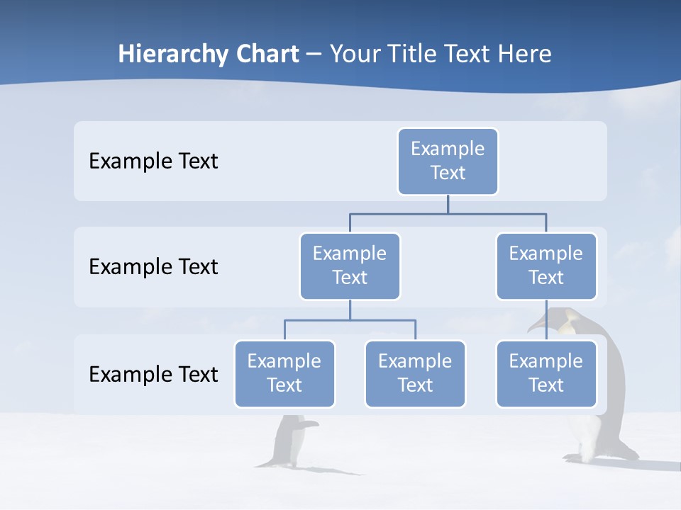Adelie Penguin PowerPoint Template