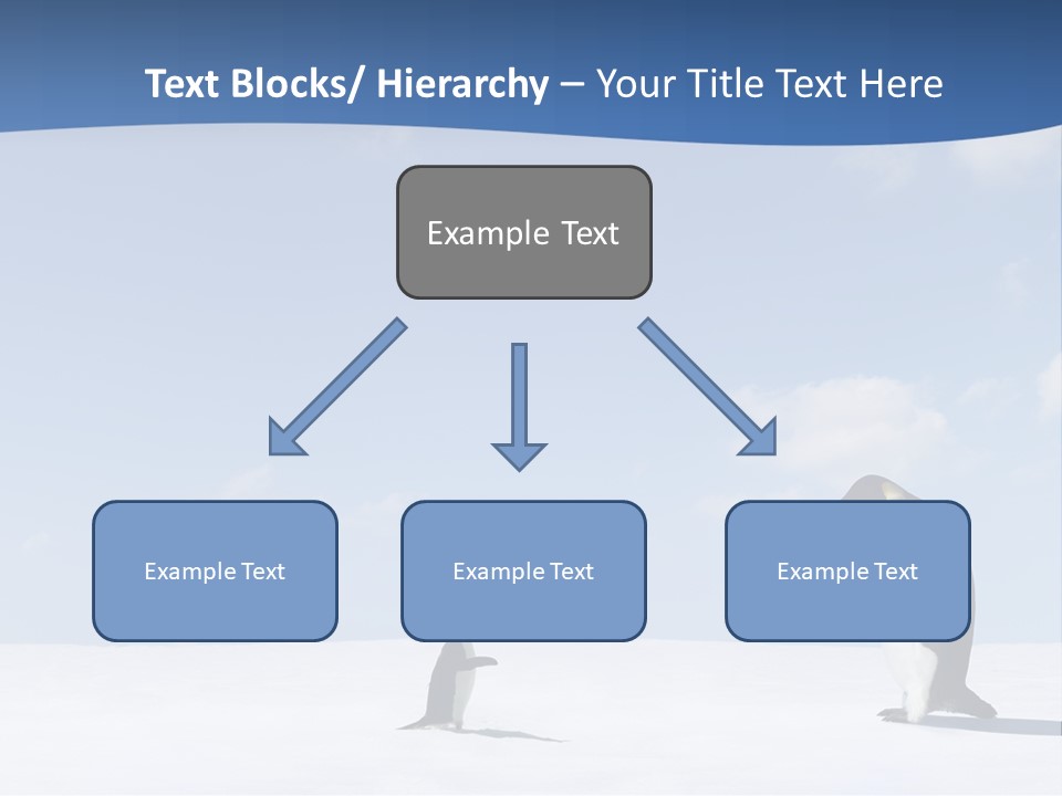 Adelie Penguin PowerPoint Template