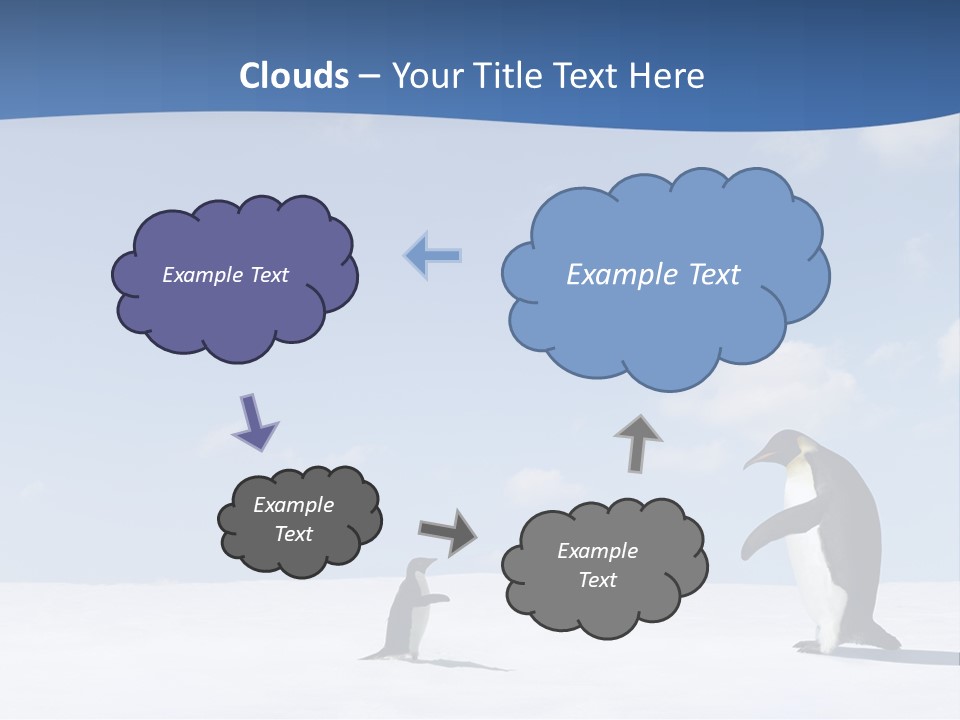 Adelie Penguin PowerPoint Template