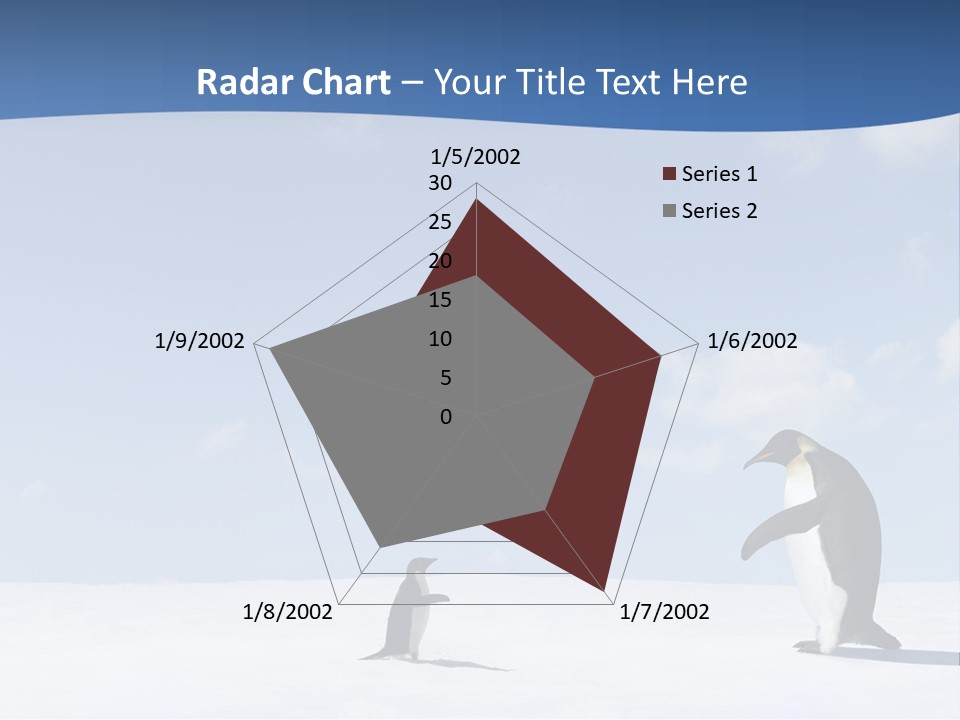 Adelie Penguin PowerPoint Template