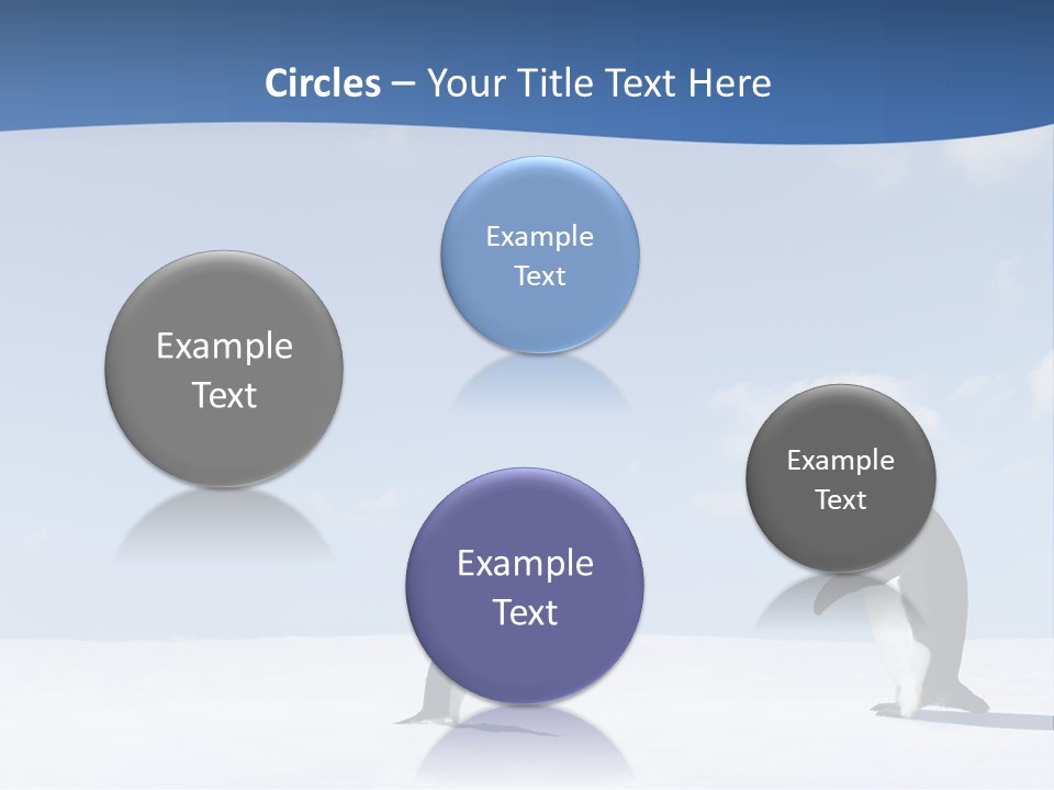 Adelie Penguin PowerPoint Template