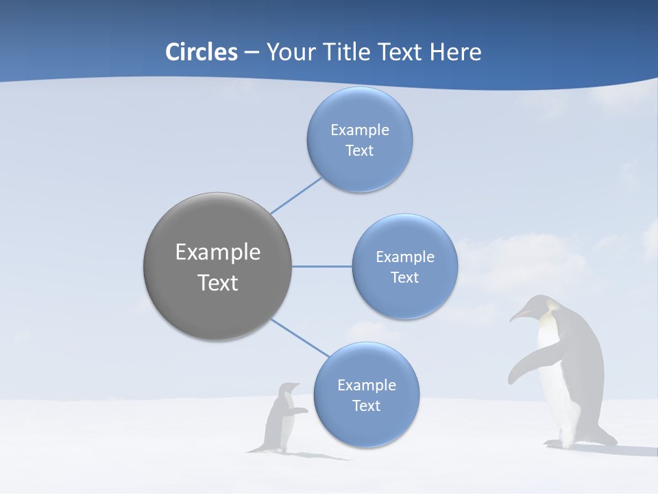 Adelie Penguin PowerPoint Template