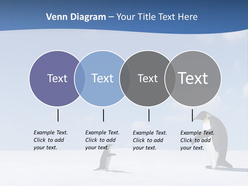 Adelie Penguin PowerPoint Template
