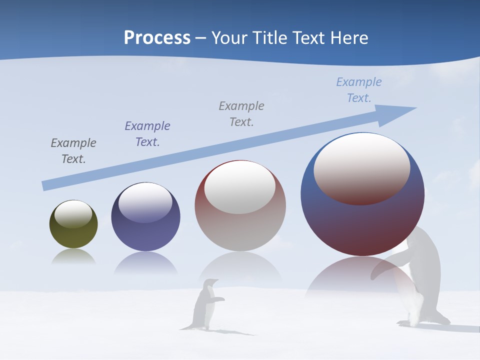 Adelie Penguin PowerPoint Template