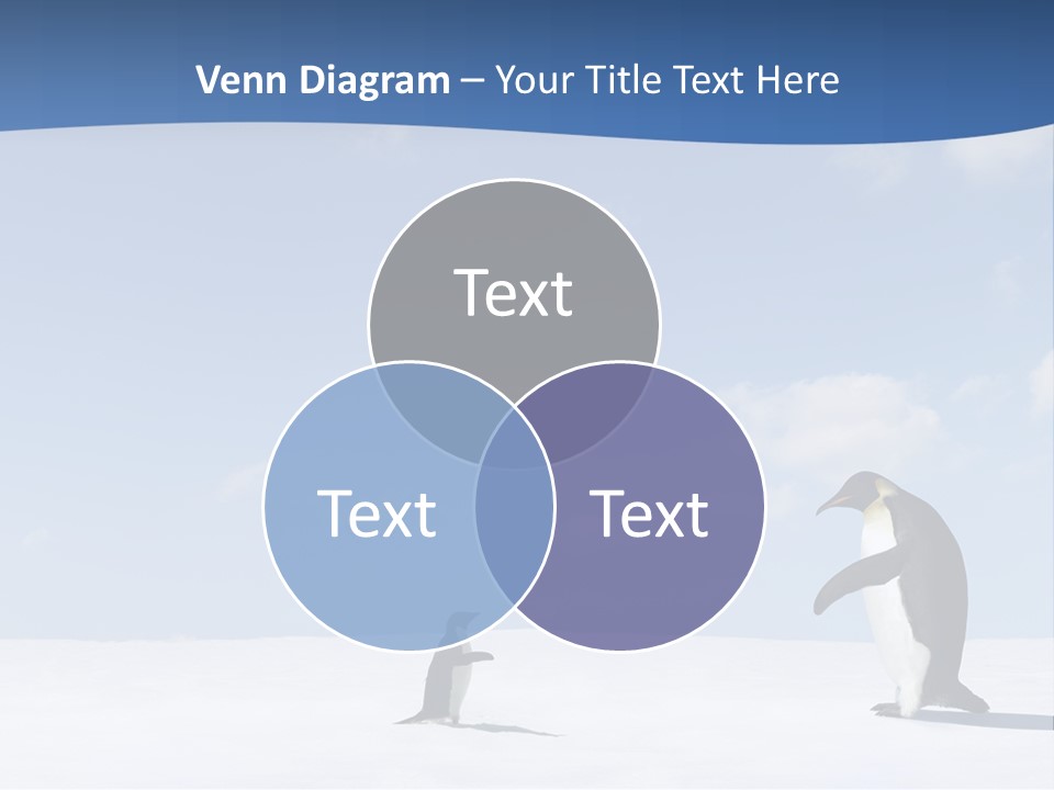Adelie Penguin PowerPoint Template