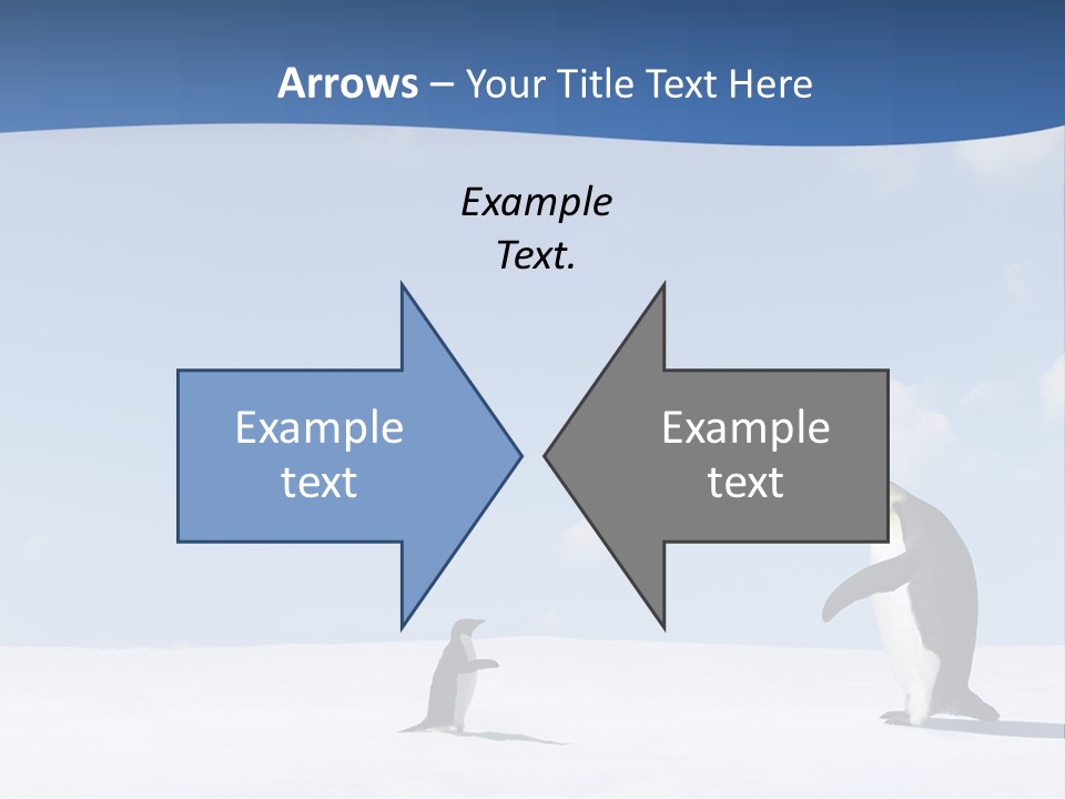 Adelie Penguin PowerPoint Template