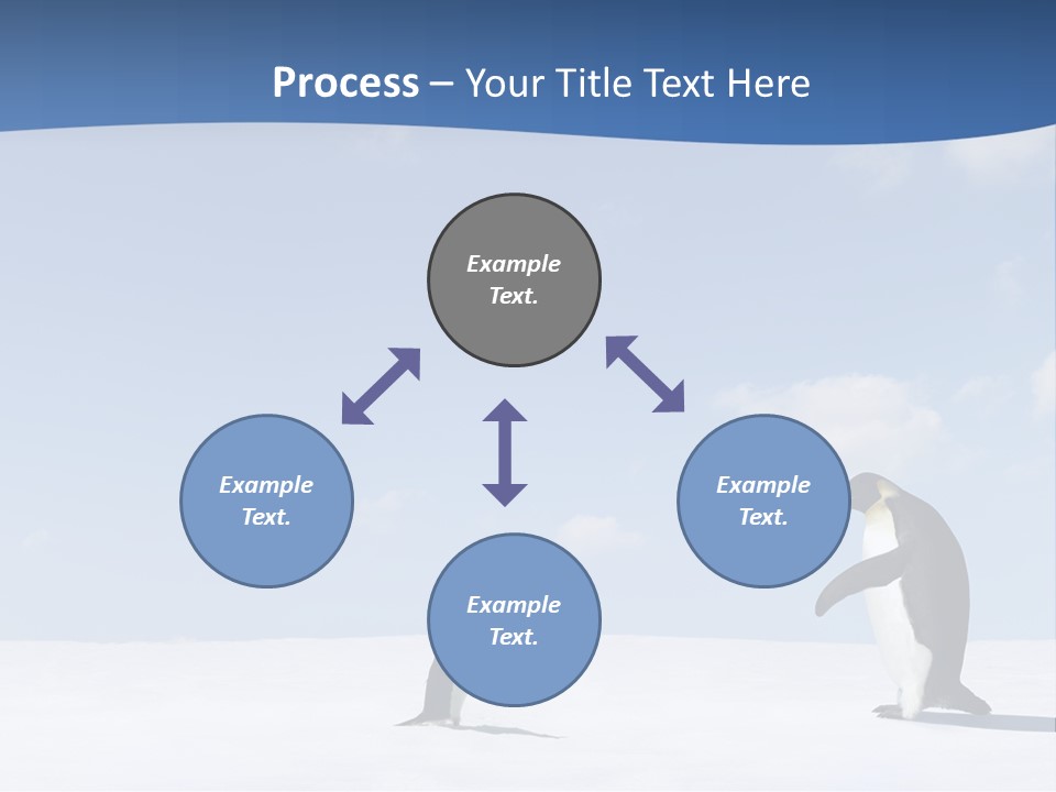 Adelie Penguin PowerPoint Template