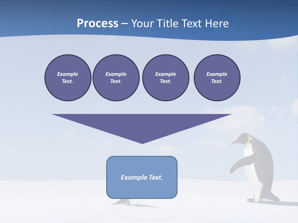 Adelie Penguin PowerPoint Template