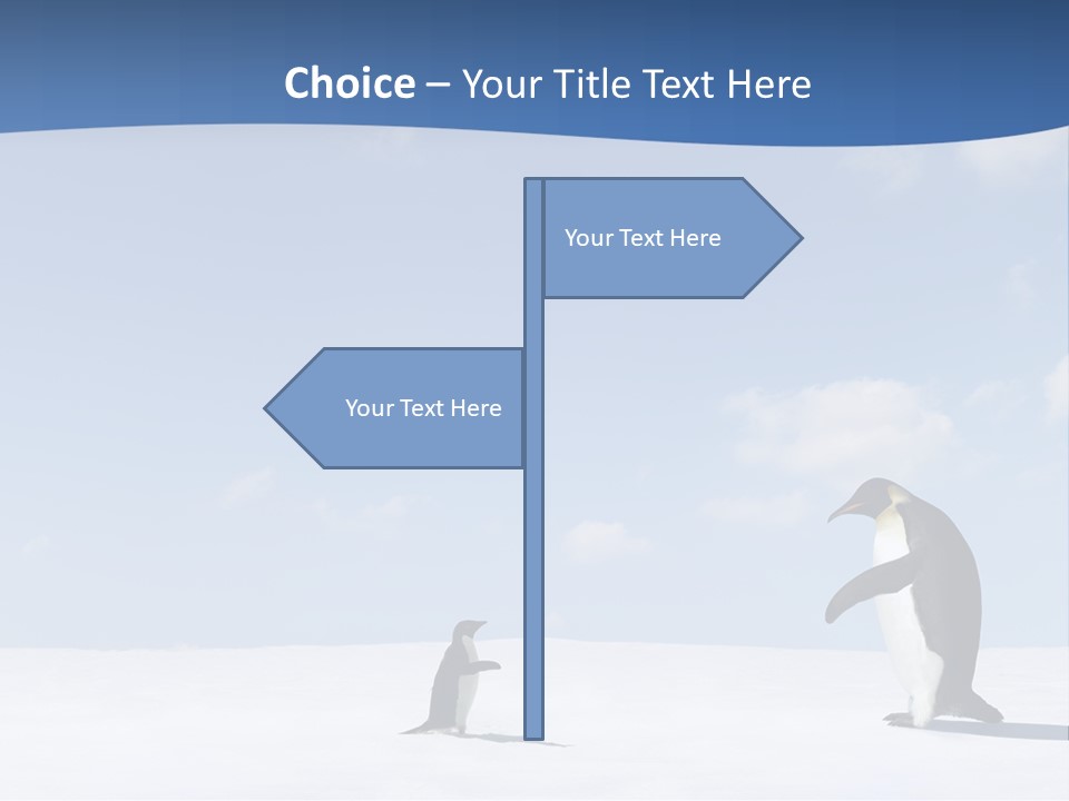 Adelie Penguin PowerPoint Template