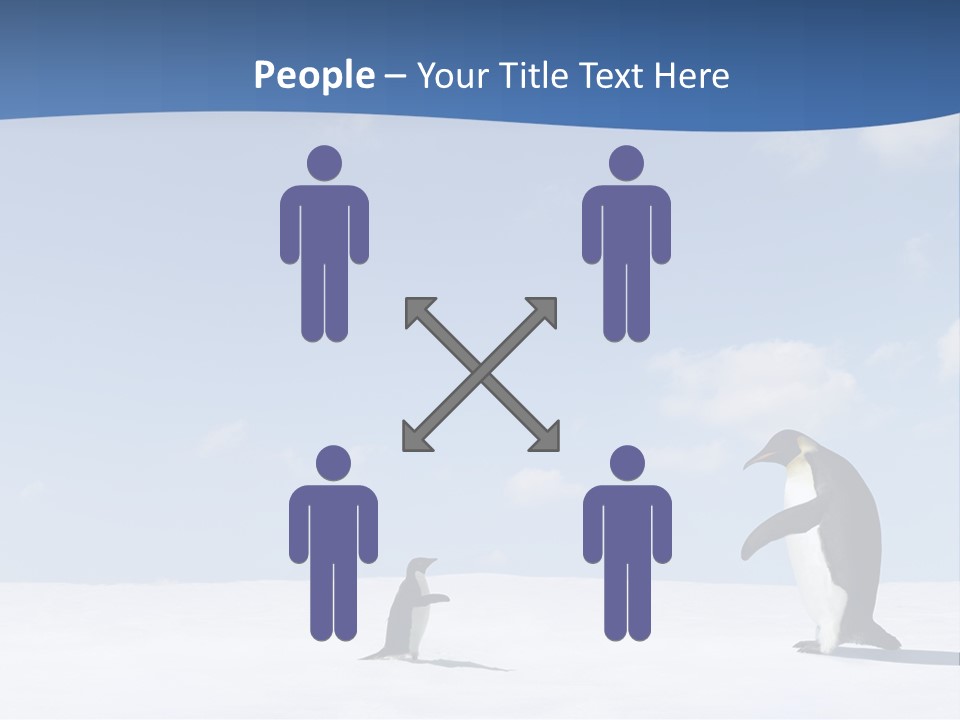 Adelie Penguin PowerPoint Template