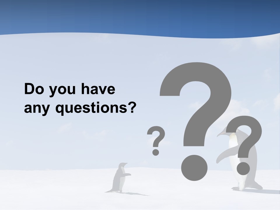 Adelie Penguin PowerPoint Template