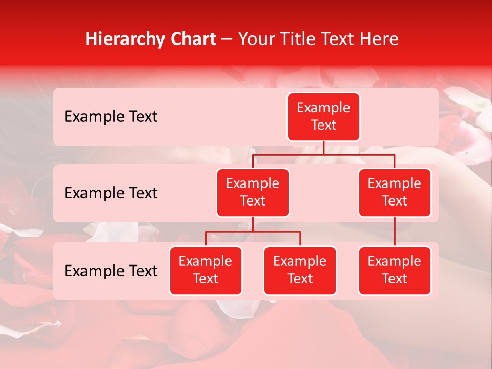 Beautiful Girl And Rose PowerPoint Template