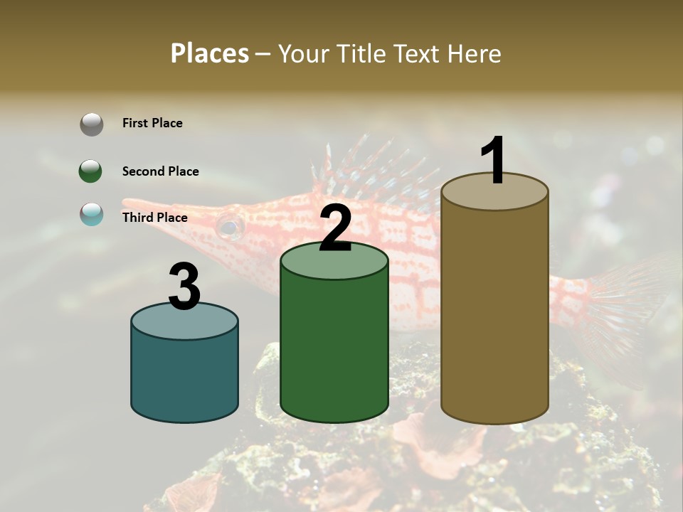 Sea Fish PowerPoint Template