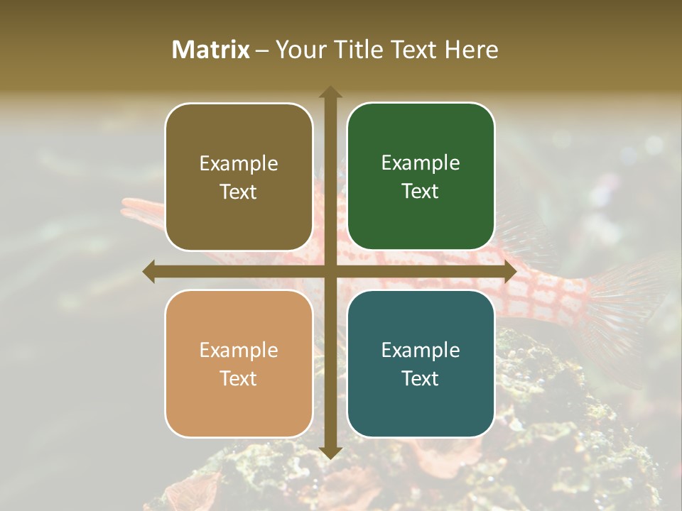 Sea Fish PowerPoint Template