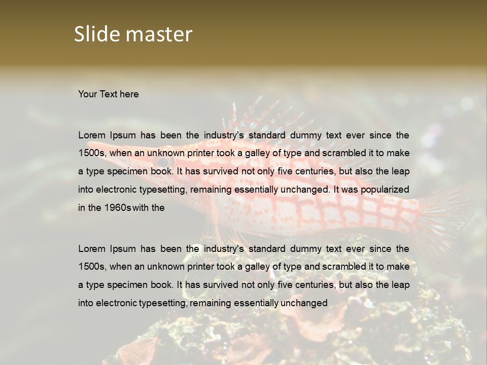 Sea Fish PowerPoint Template