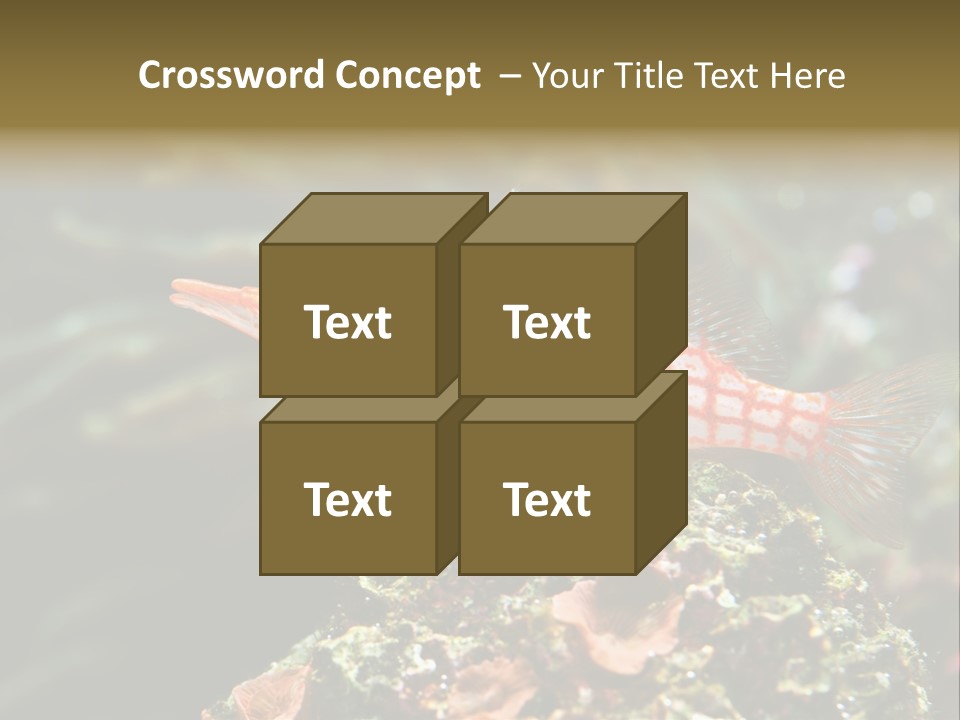 Sea Fish PowerPoint Template