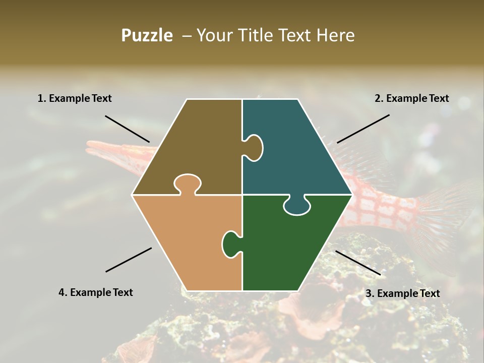 Sea Fish PowerPoint Template