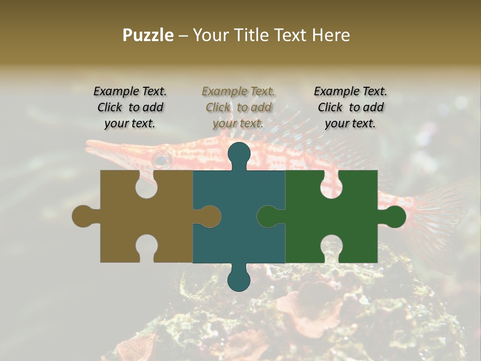 Sea Fish PowerPoint Template