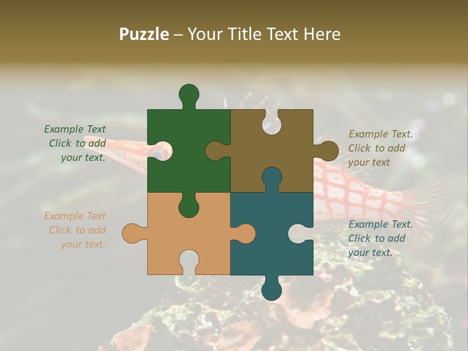 Sea Fish PowerPoint Template