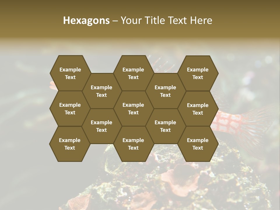 Sea Fish PowerPoint Template