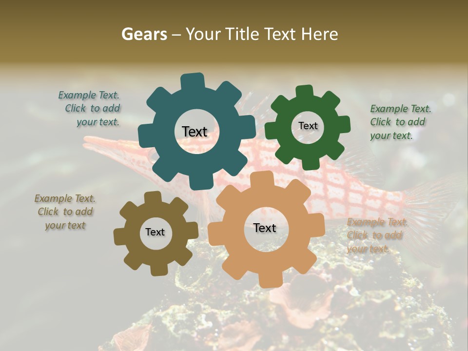 Sea Fish PowerPoint Template