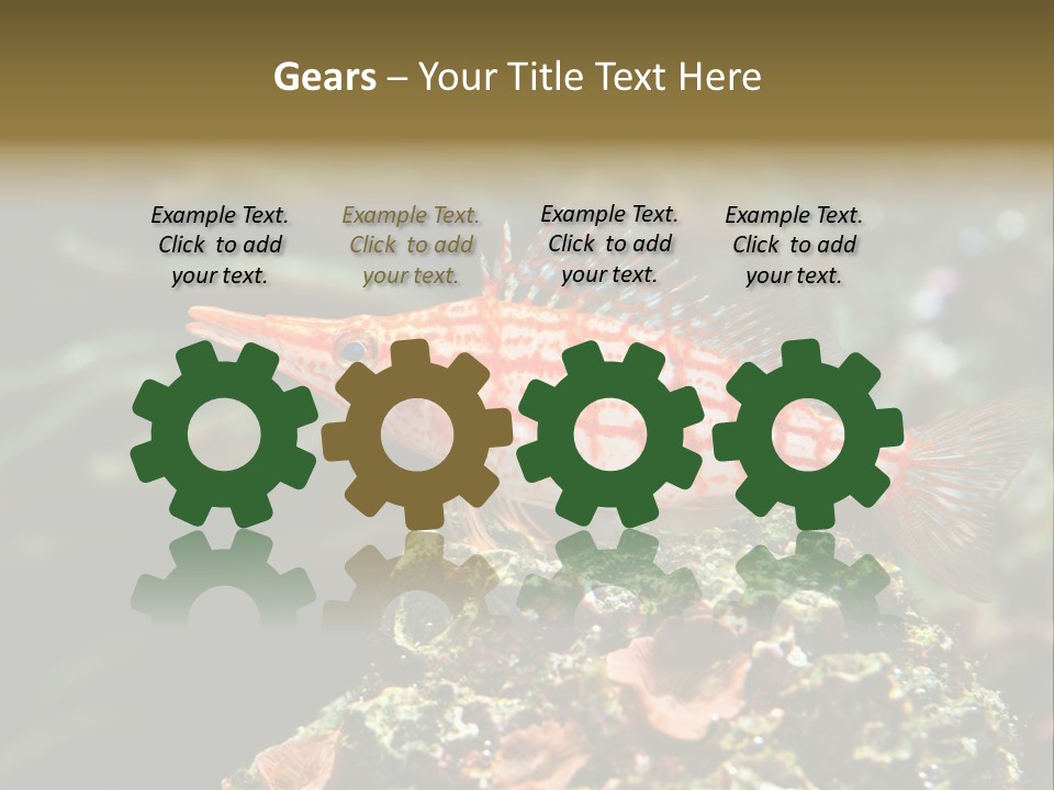 Sea Fish PowerPoint Template