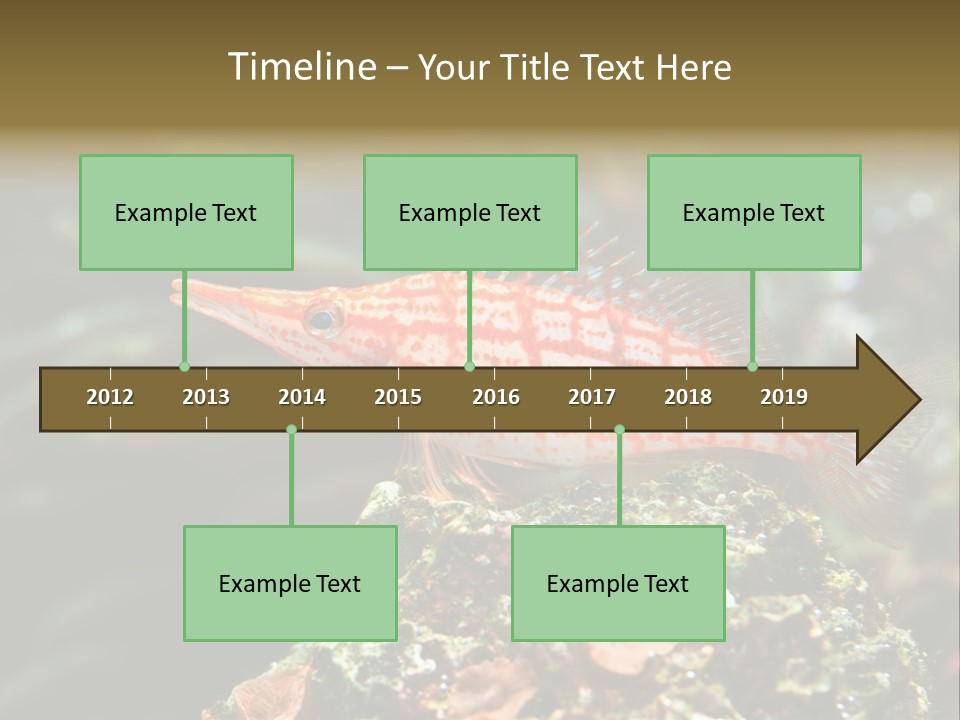 Sea Fish PowerPoint Template