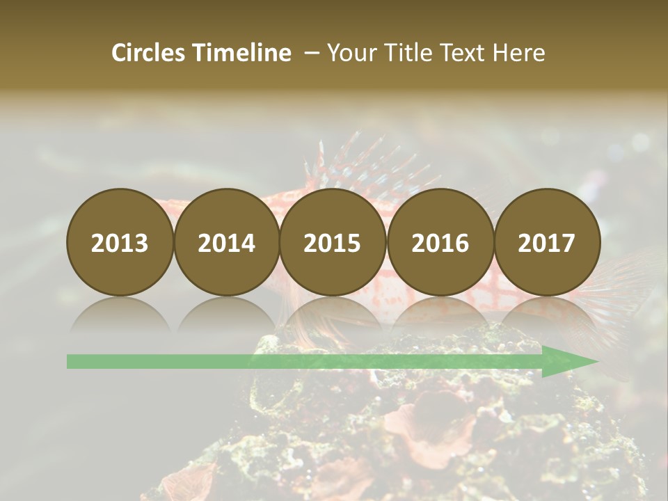 Sea Fish PowerPoint Template