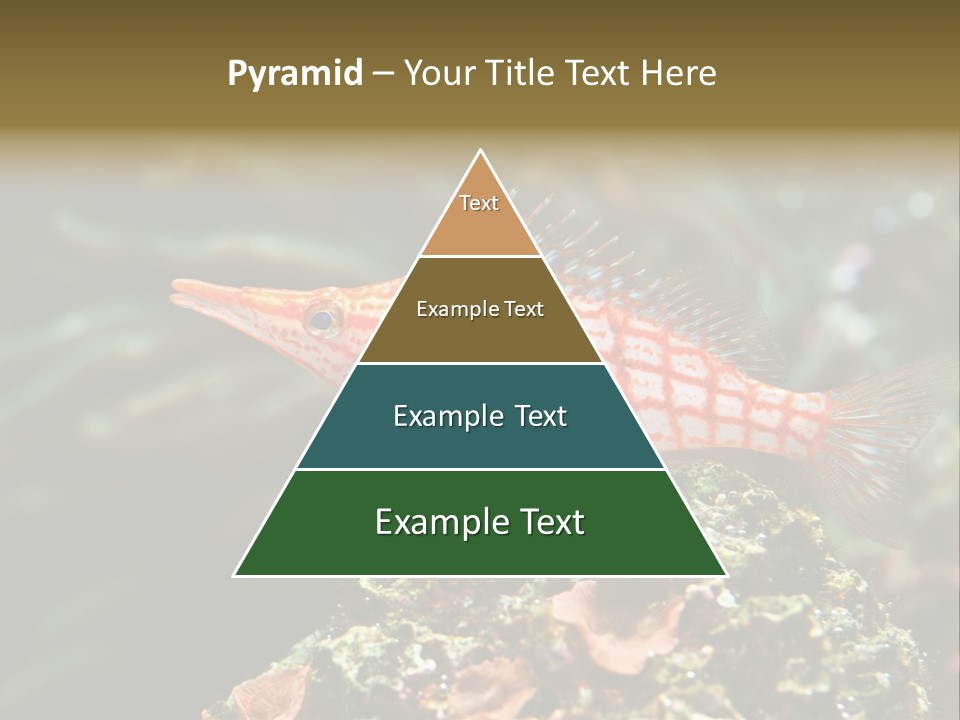 Sea Fish PowerPoint Template