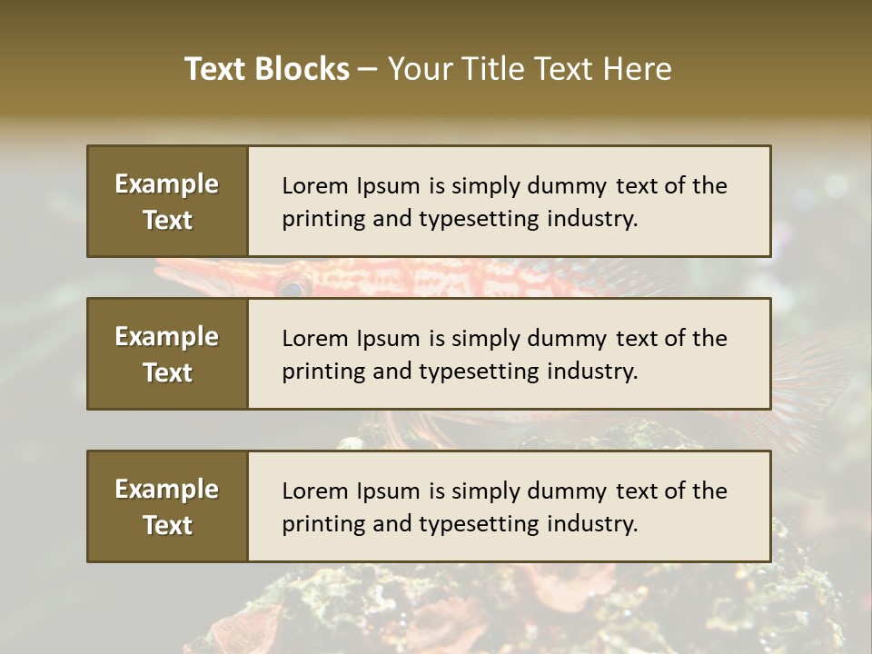 Sea Fish PowerPoint Template