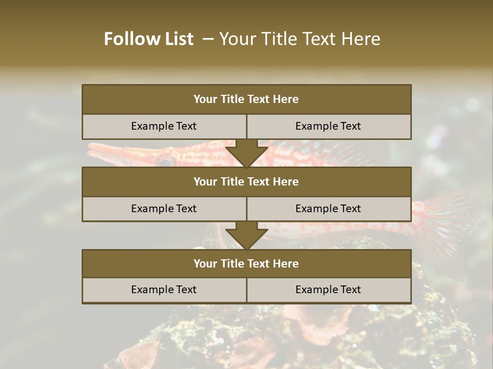 Sea Fish PowerPoint Template