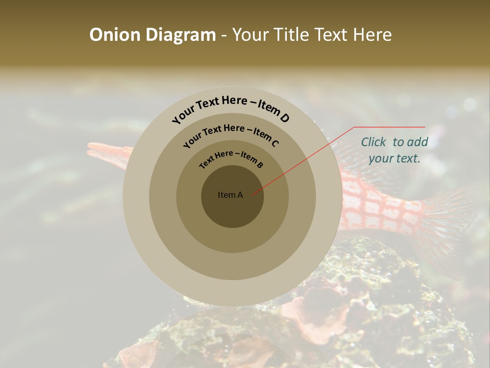 Sea Fish PowerPoint Template