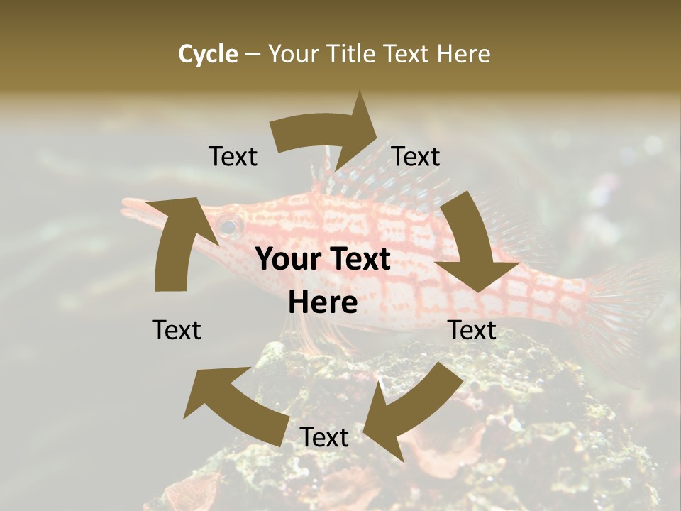 Sea Fish PowerPoint Template