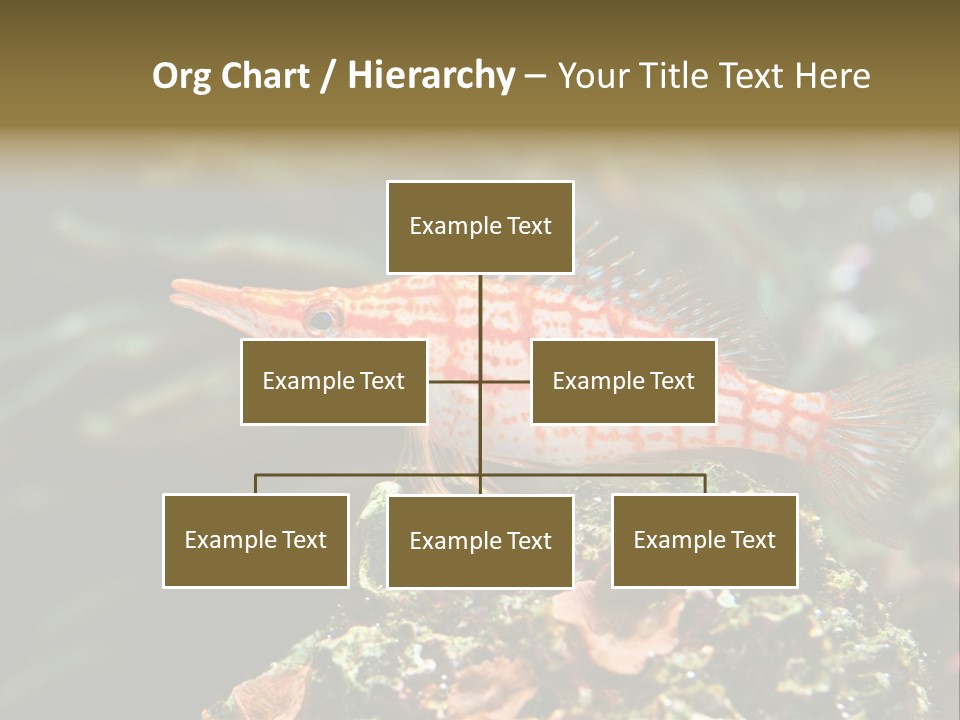 Sea Fish PowerPoint Template