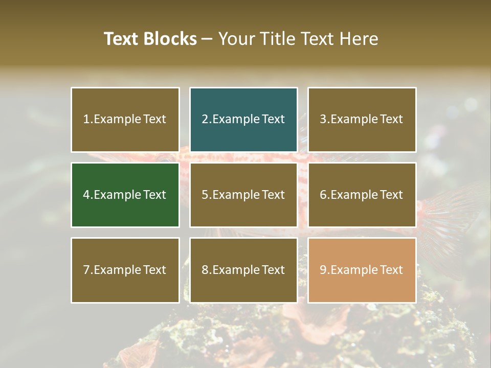 Sea Fish PowerPoint Template