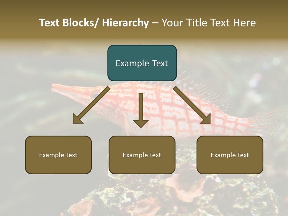 Sea Fish PowerPoint Template