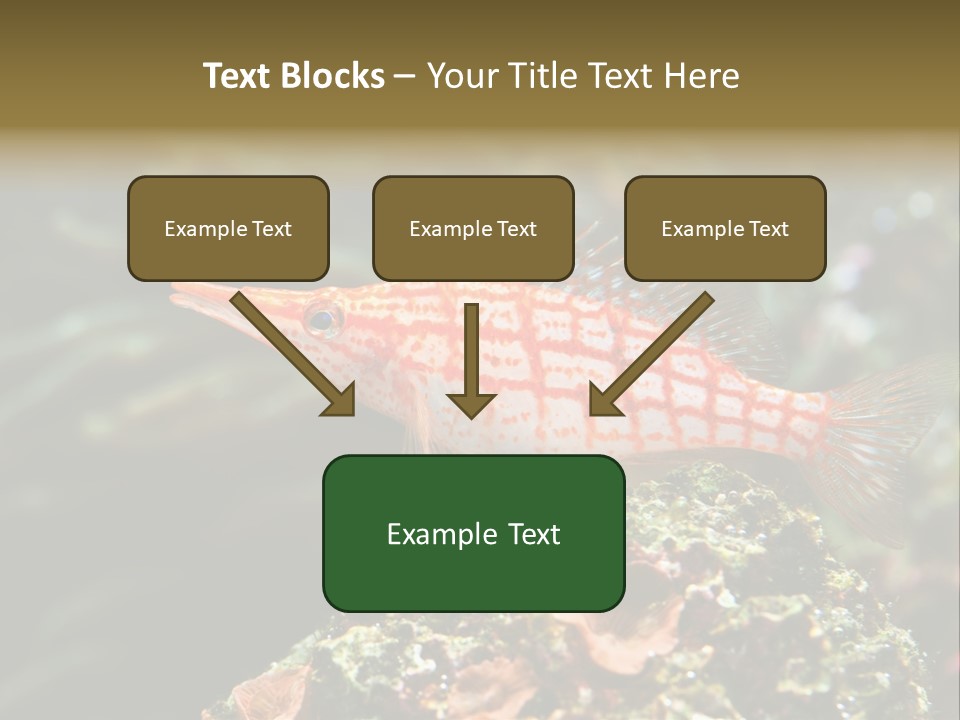 Sea Fish PowerPoint Template