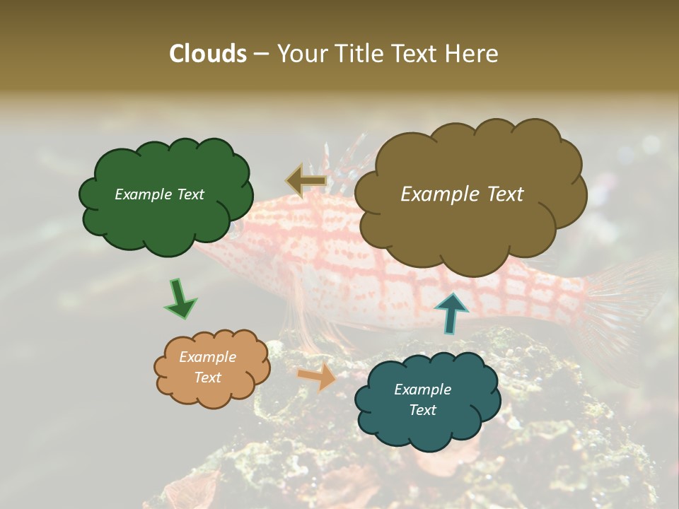 Sea Fish PowerPoint Template
