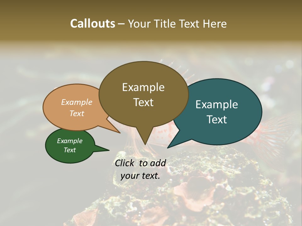 Sea Fish PowerPoint Template