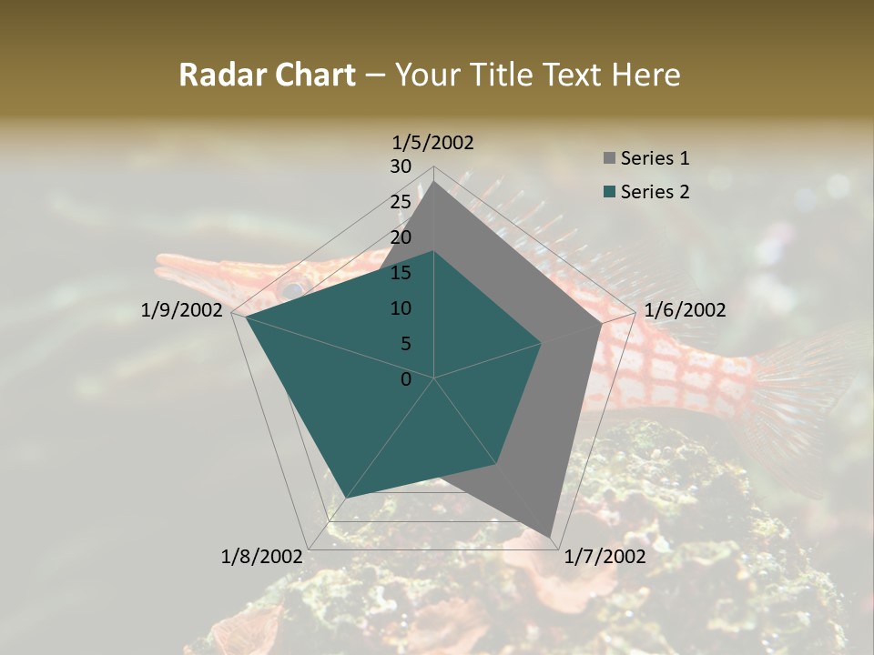 Sea Fish PowerPoint Template