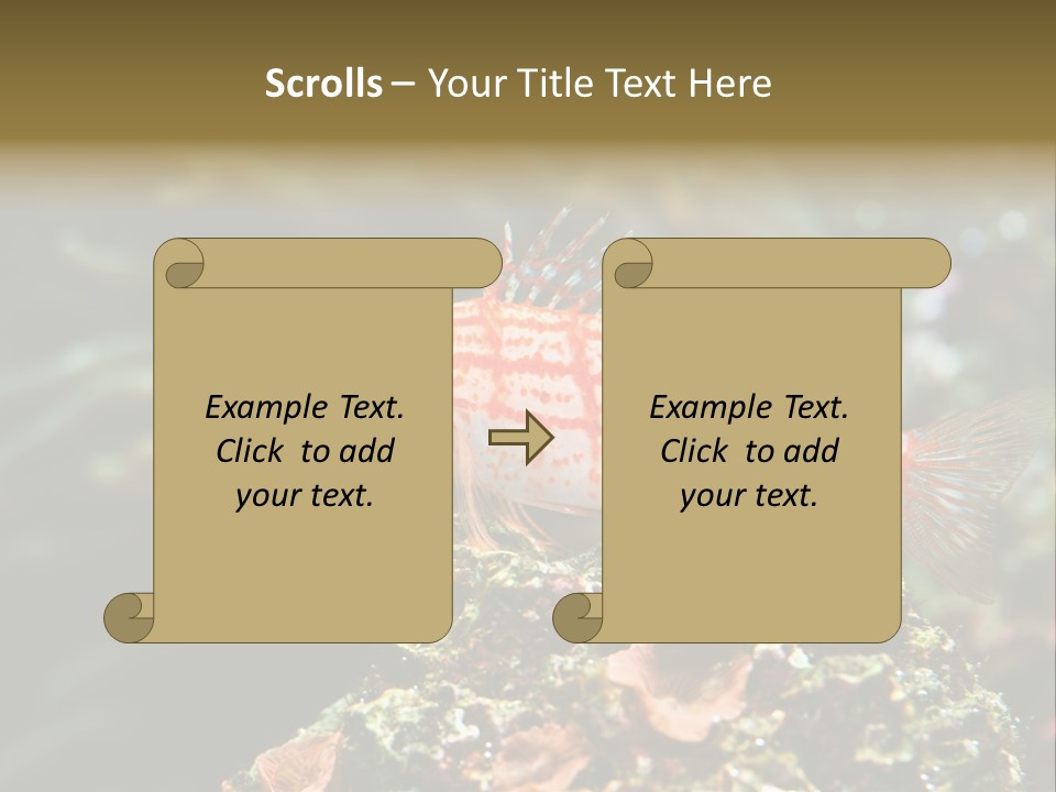 Sea Fish PowerPoint Template