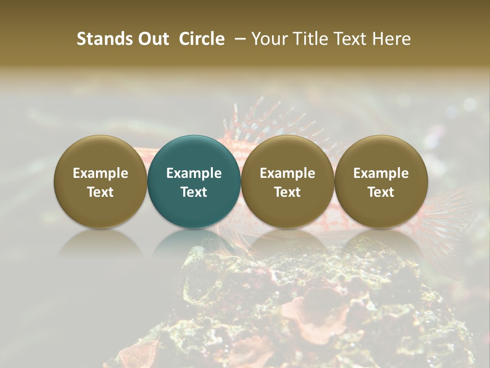 Sea Fish PowerPoint Template