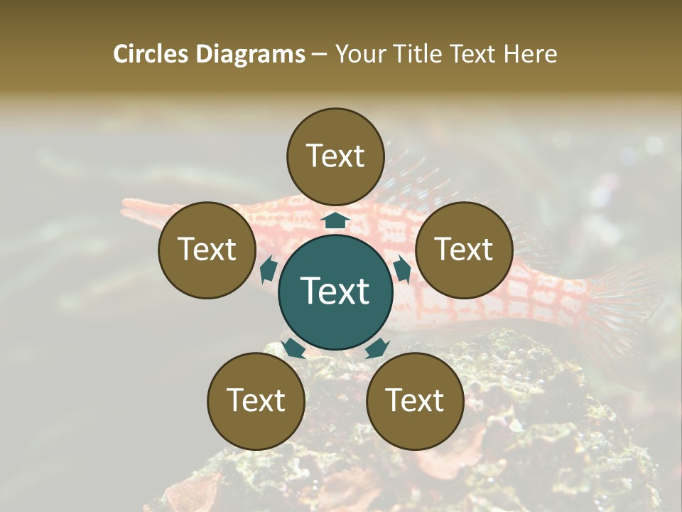 Sea Fish PowerPoint Template